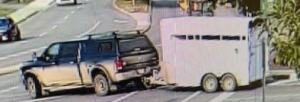 New image of the truck and trailer the suspect is believed to be travelling in.