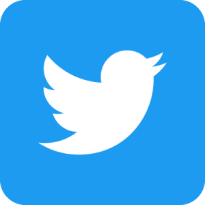 blue twitter bird icon in a rounded square